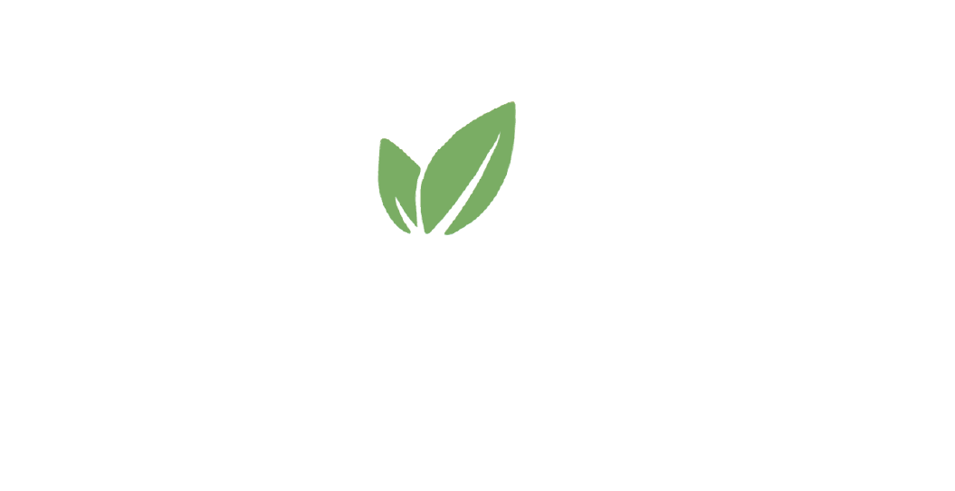 Mesa de trabajo 1
